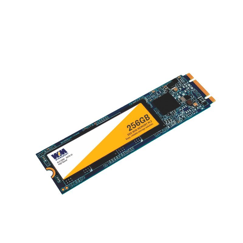 SSD 256GB NVME M.2 2280 Win Memory
